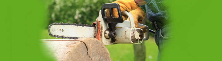 saege kategorieeinstiegsbanner